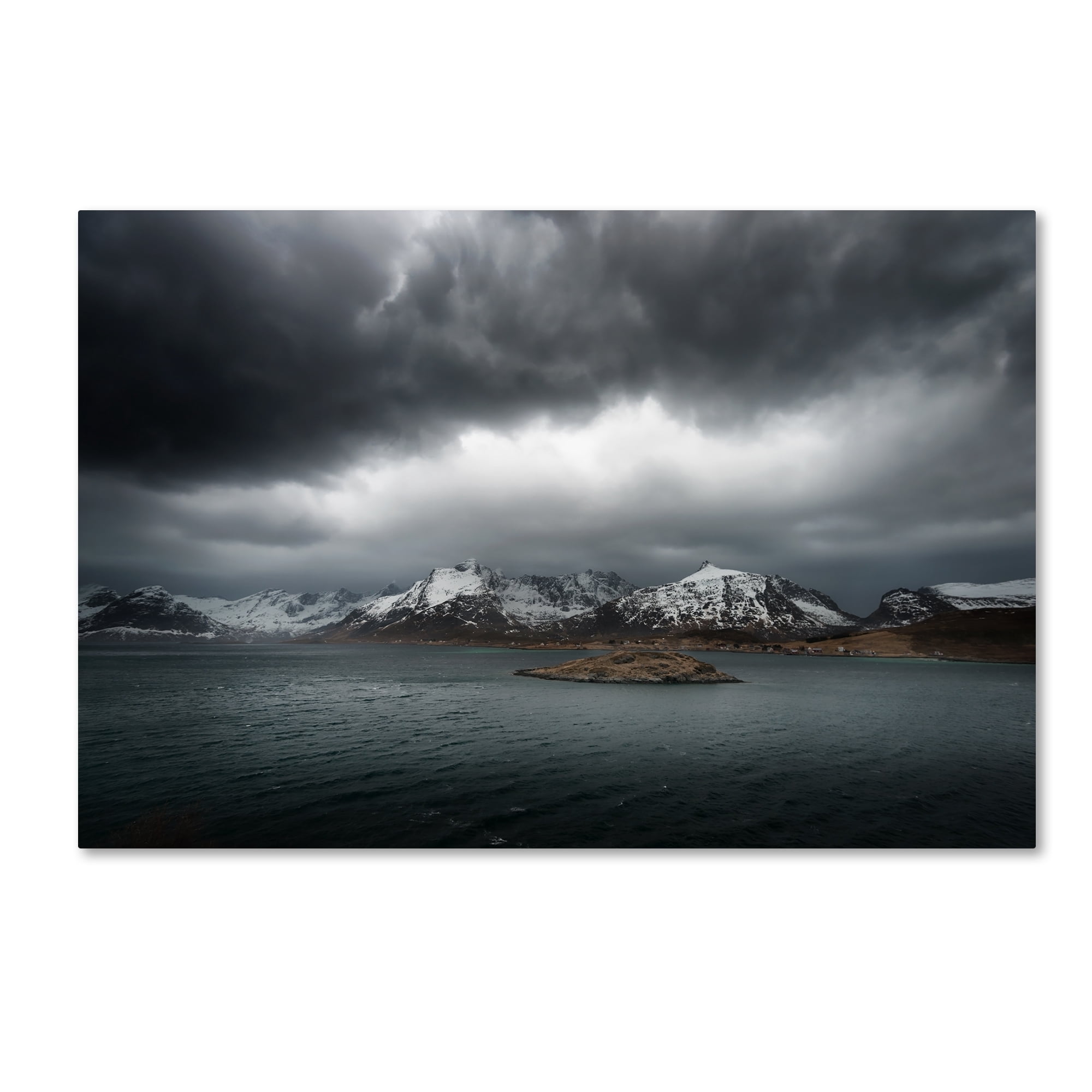 Trademark Fine Art "Grey" Canvas Art by Philippe Sainte-Laudy