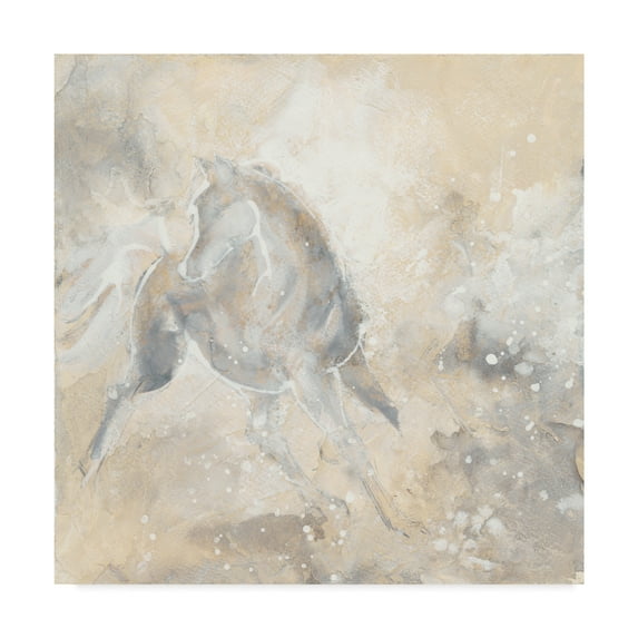 Trademark Fine Art 'Grey Horse I' Canvas Art by Chris Paschke