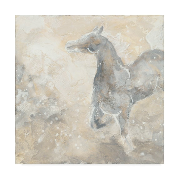Trademark Fine Art 'Grey Horse II' Canvas Art by Chris Paschke
