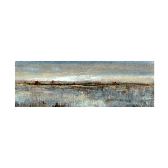 Trademark Fine Art Tim Otoole Grey Mist Ii Canvas Wall Art - 8x24