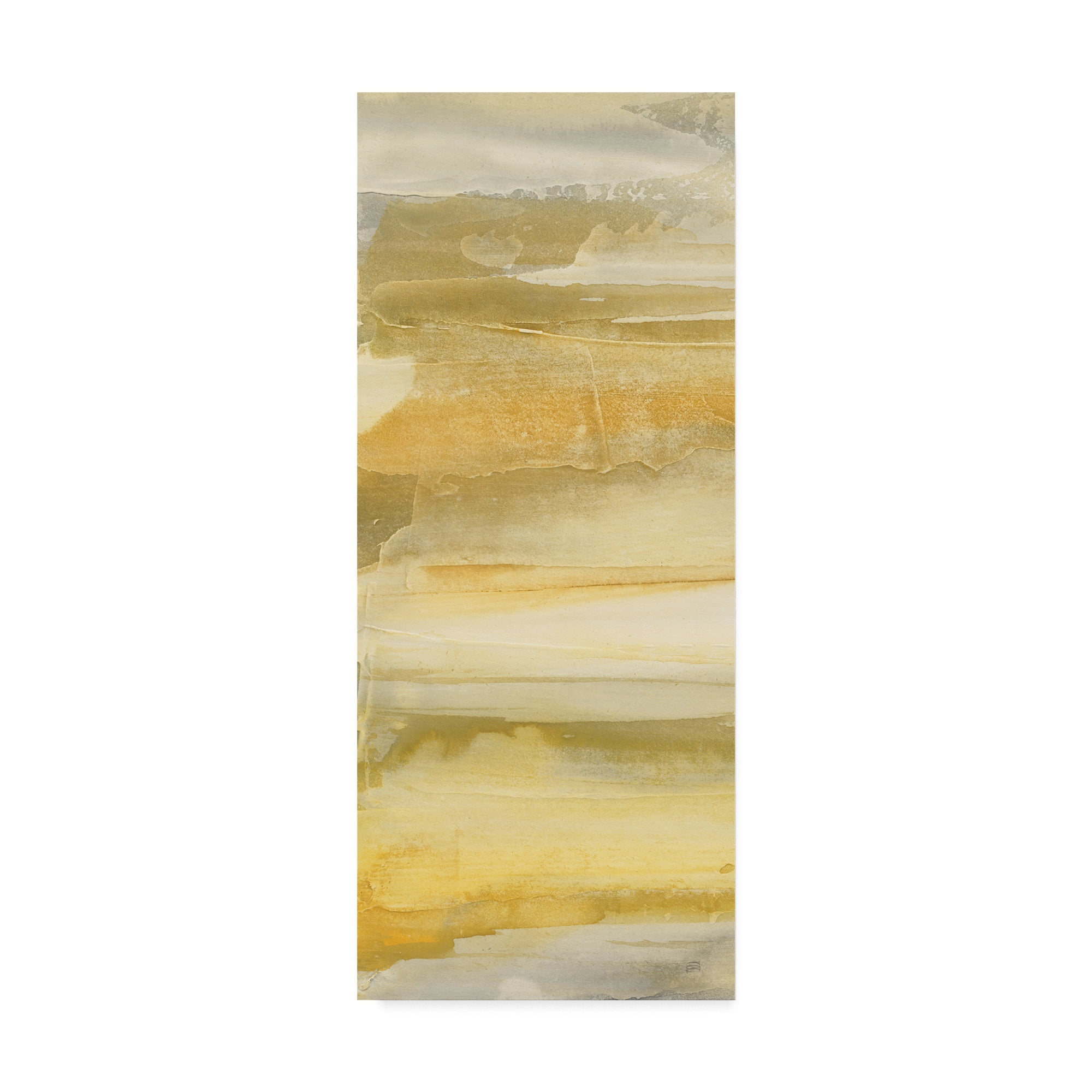 Trademark Fine Art 'Grey and Gold II' Canvas Art by Chris Paschke