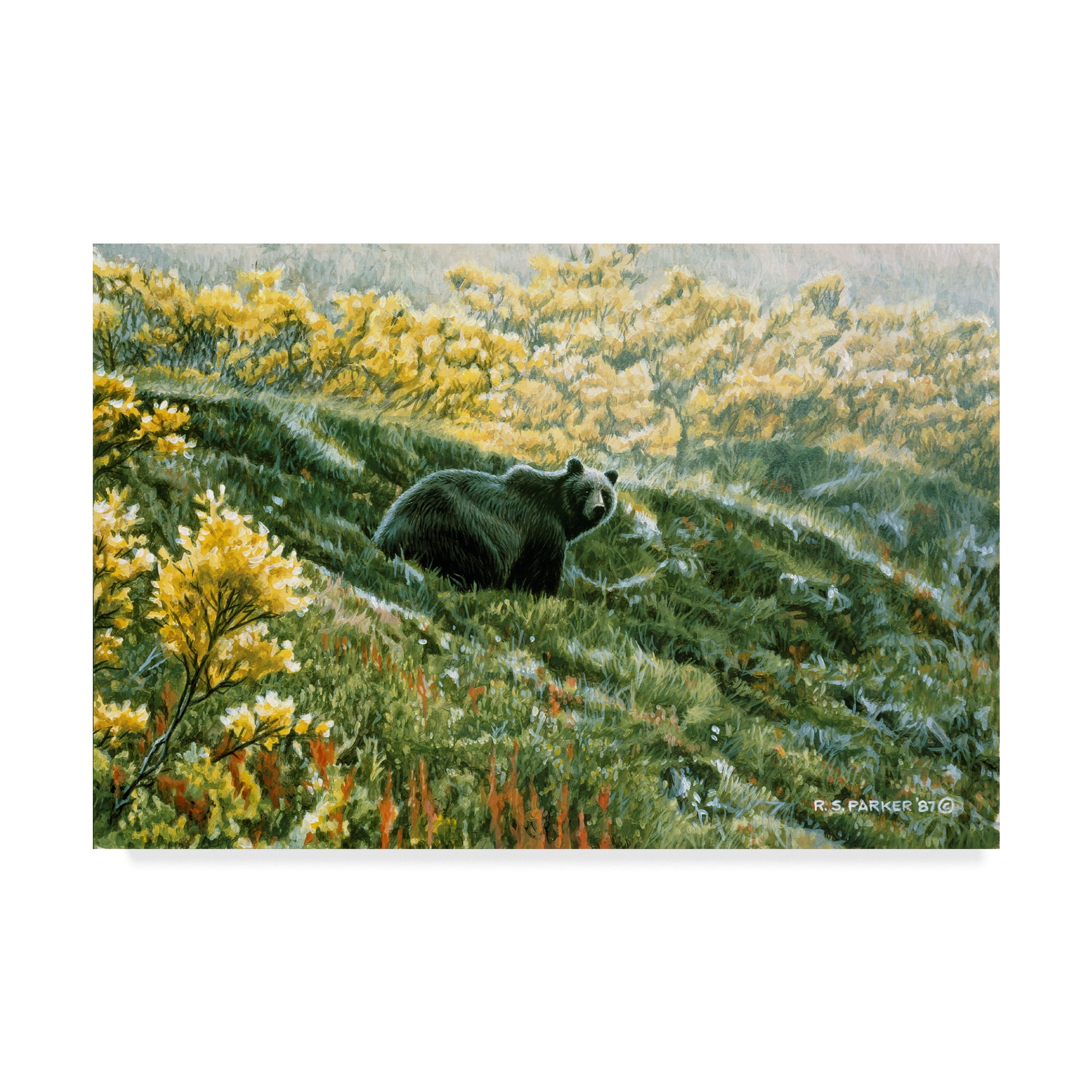 Trademark Fine Art 'Grizzly In The Blueberries' Canvas Art by Ron Parker