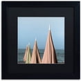 thumbnail image 1 of Trademark Fine Art "Grossetto Parasol I" Canvas Art by Alan Blaustein, Black Matte, Black Frame, 1 of 4