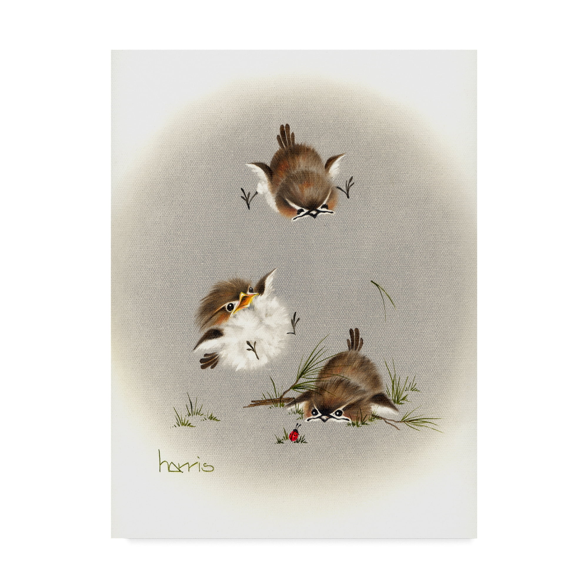 Trademark Fine Art 'Grounded Small Birds' Canvas Art by Peggy Harris