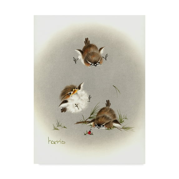 Trademark Fine Art 'Grounded Small Birds' Canvas Art by Peggy Harris