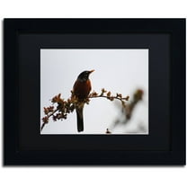 Trademark Fine Art "Guardian" Canvas Art by Monica Mize, Black Matte, Black Frame