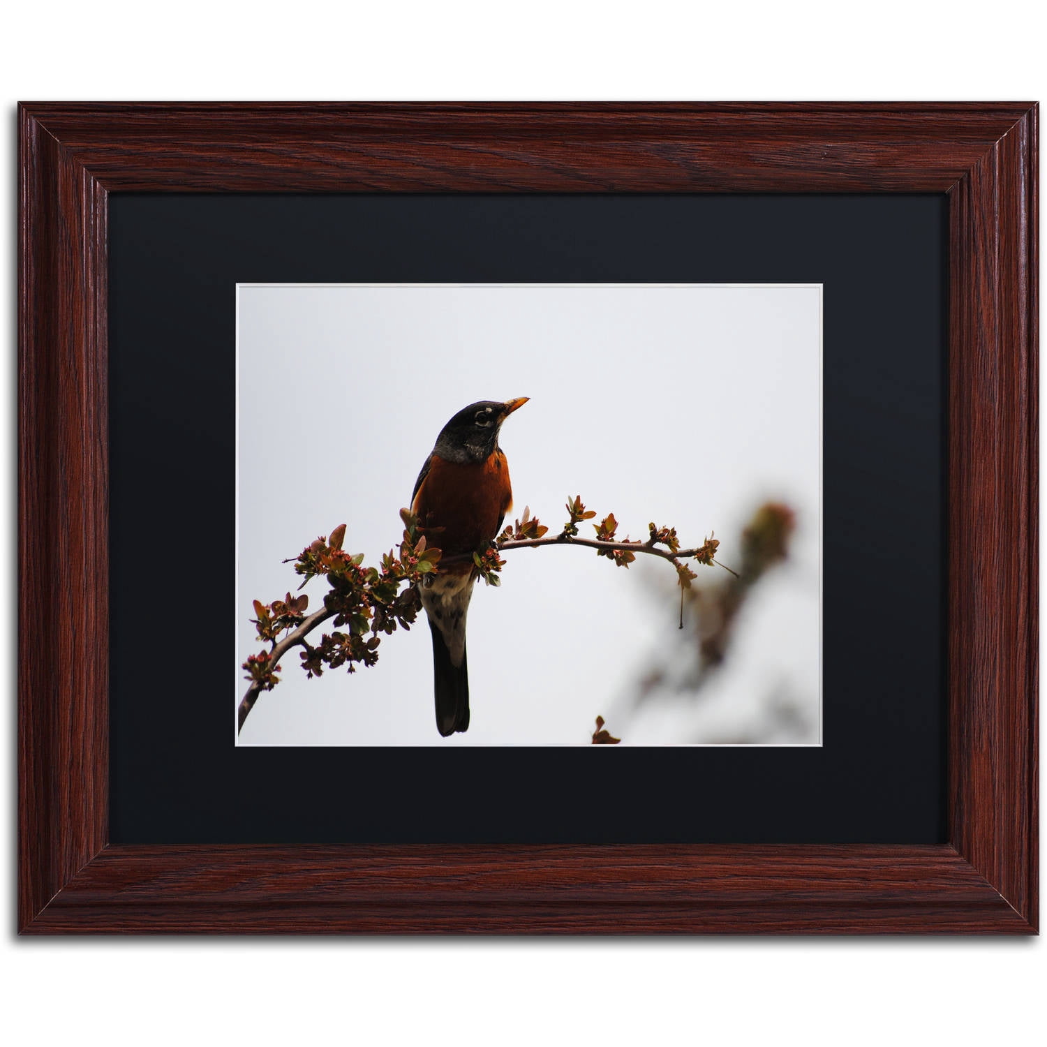 Trademark Fine Art "Guardian" Canvas Art by Monica Mize, Black Matte, Wood Frame