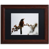 Trademark Fine Art "Guardian" Canvas Art by Monica Mize, Black Matte, Wood Frame