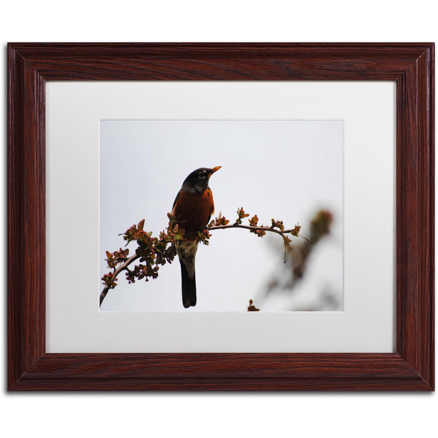 Trademark Fine Art "Guardian" Canvas Art by Monica Mize, White Matte, Wood Frame