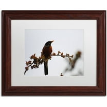 Trademark Fine Art "Guardian" Canvas Art by Monica Mize, White Matte, Wood Frame