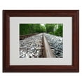 thumbnail image 1 of Trademark Fine Art "Guided Journey" Canvas Art by Monica Fleet, Wood Frame, 1 of 3
