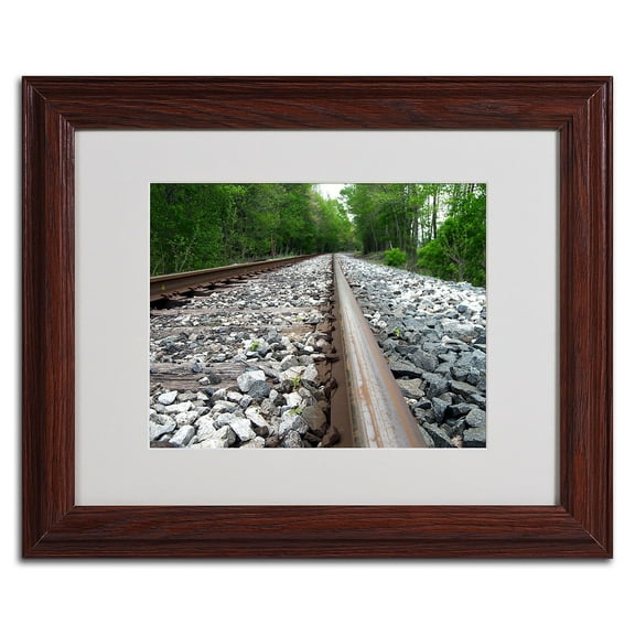 Trademark Fine Art "Guided Journey" Canvas Art by Monica Fleet, Wood Frame