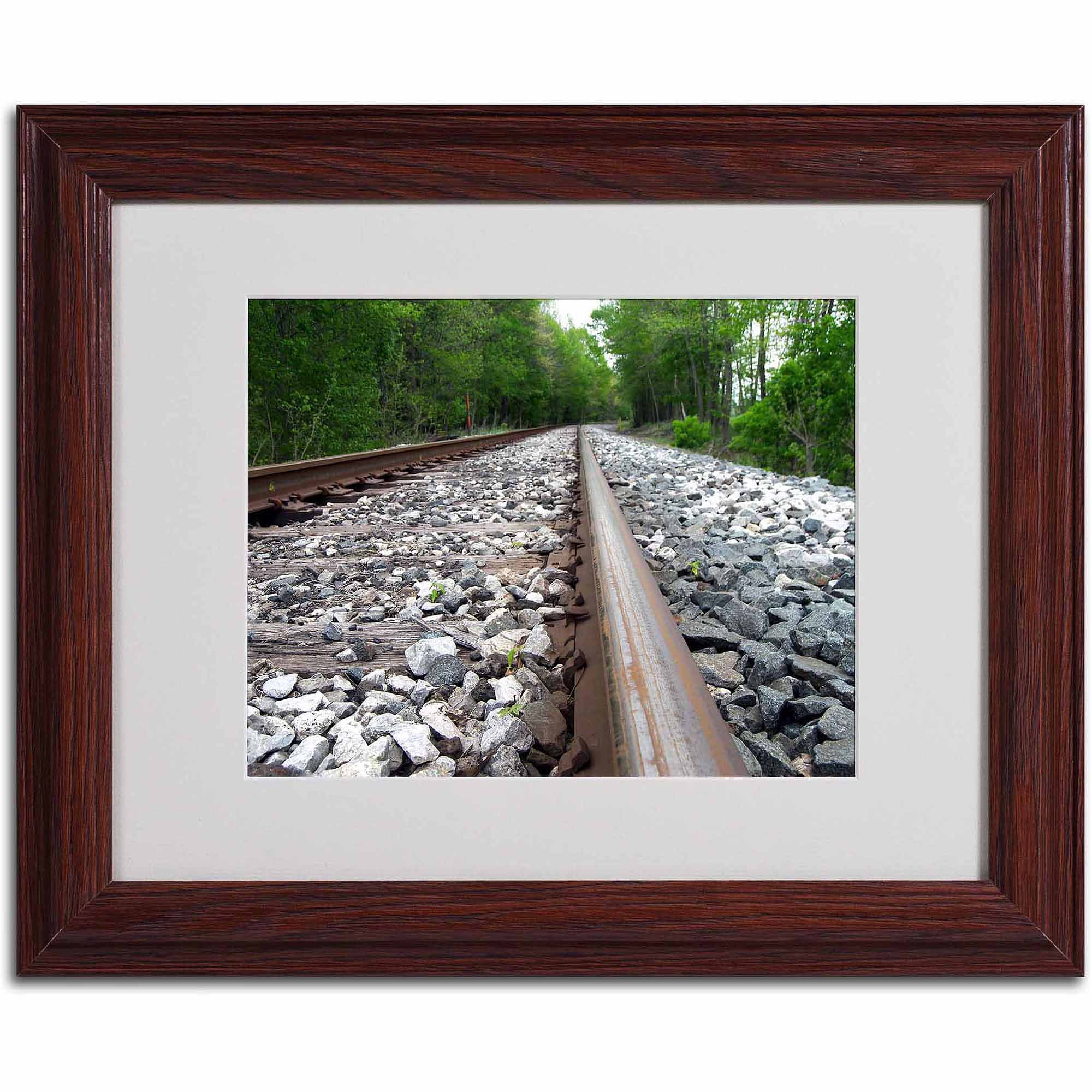 Trademark Fine Art "Guided Journey" Canvas Art by Monica Fleet, Wood Frame