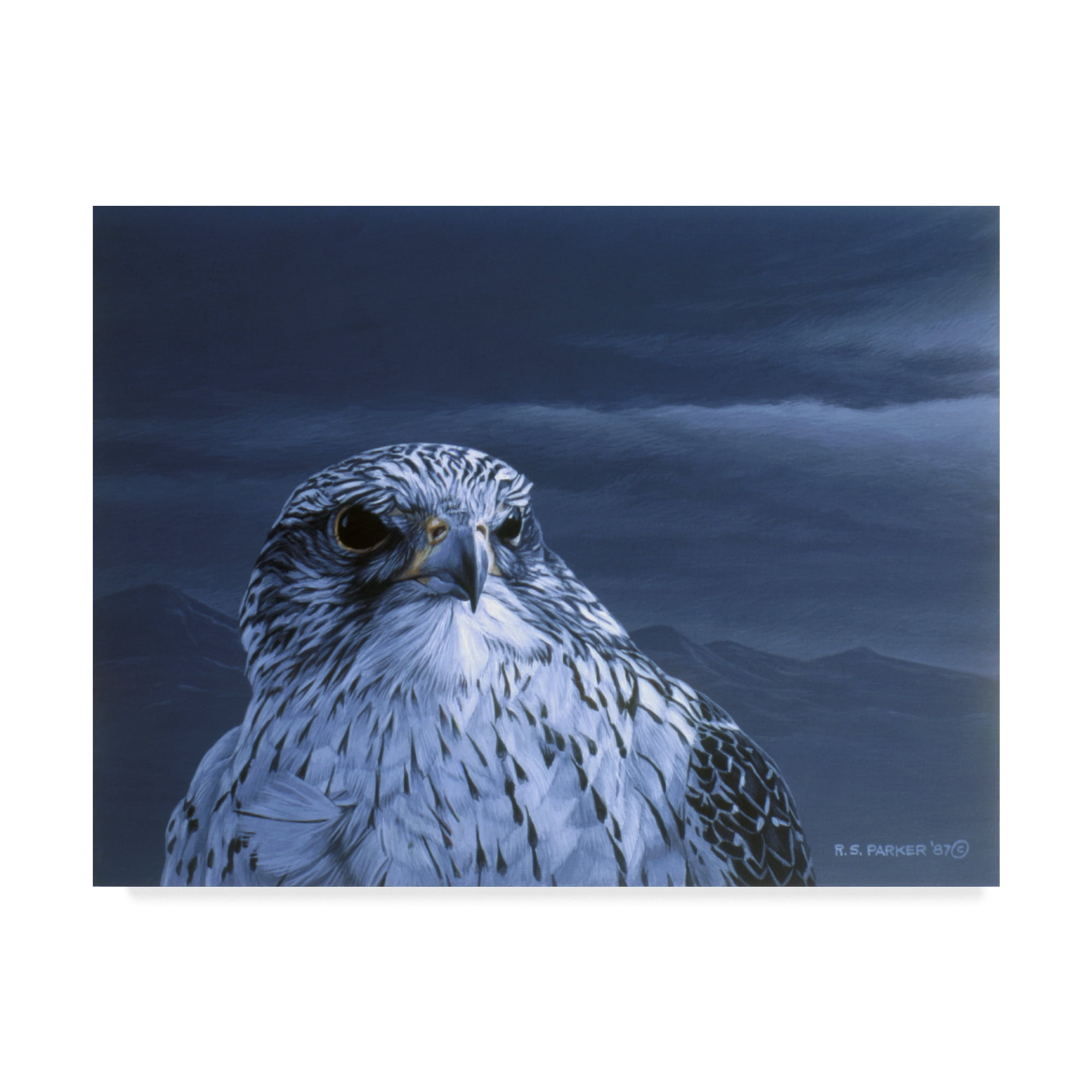 Trademark Fine Art 'Gyrfalcon Portrait' Canvas Art by Ron Parker