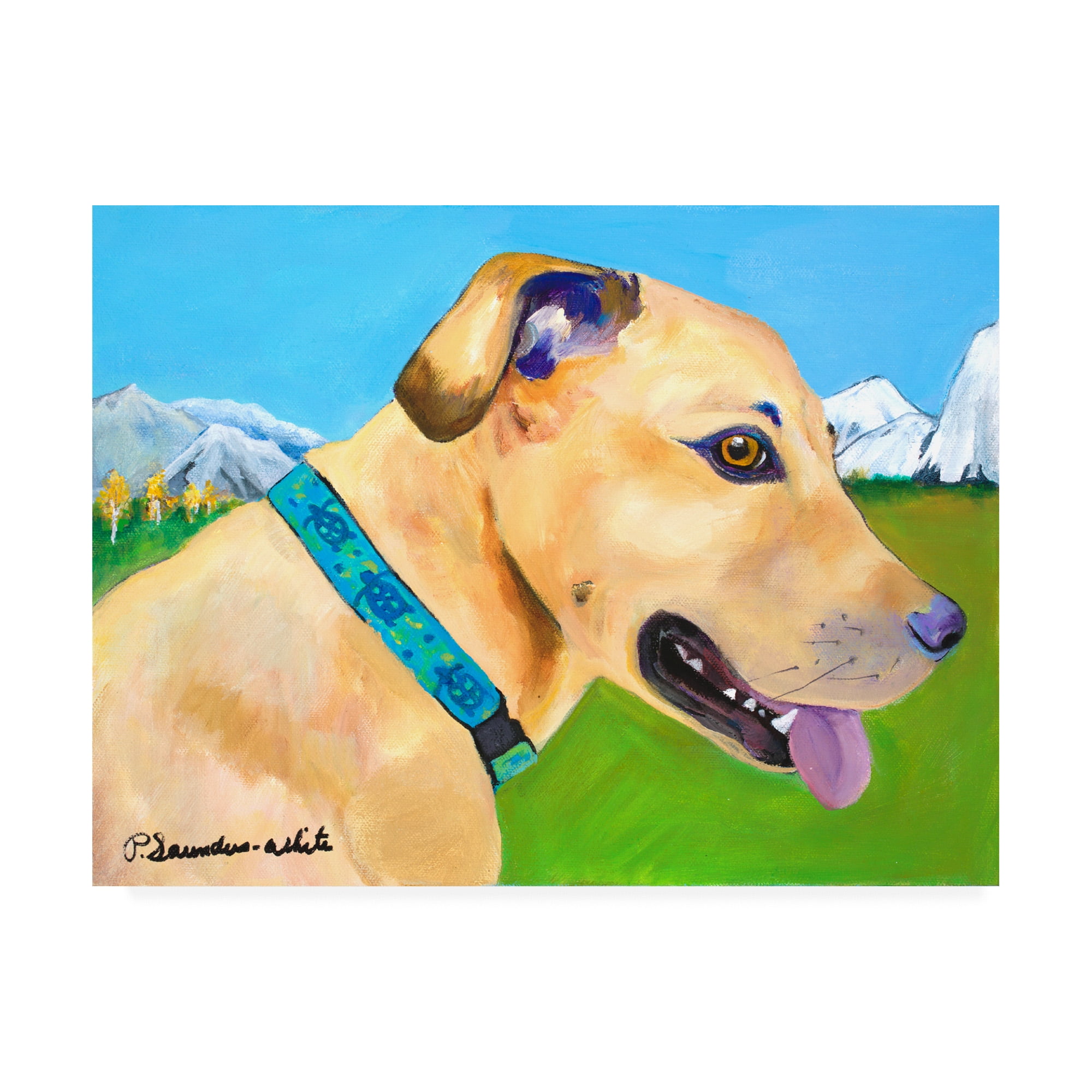 Trademark Fine Art 'Hadley X Large Copy' Canvas Art by Pat Saunders-White