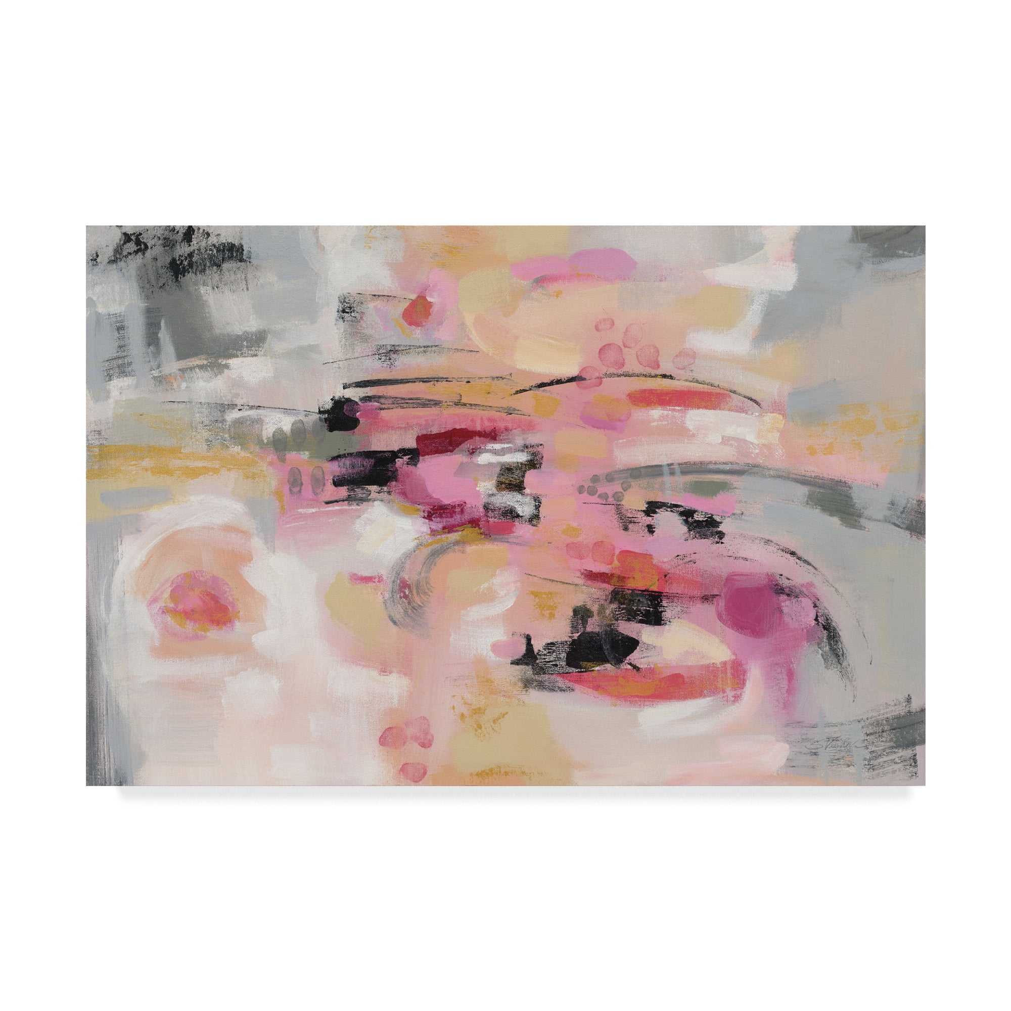 Trademark Fine Art 'Haiku Colors' Canvas Art by Silvia Vassileva