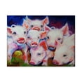 thumbnail image 1 of Trademark Fine Art 'Half Dozen Piglets' Canvas Art by Marcia Baldwin, 1 of 3