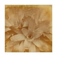 thumbnail image 1 of Trademark Fine Art 'Halia Aloha I' Canvas Art by Jason Johnson, 1 of 4