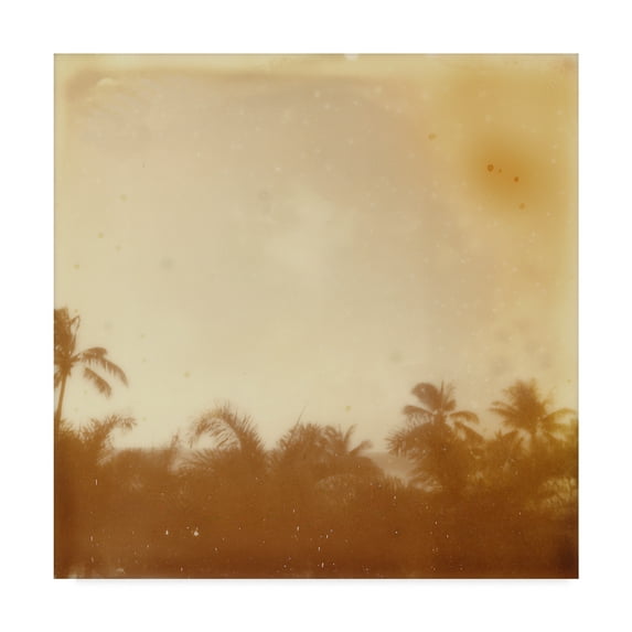 Trademark Fine Art 'Halia Aloha VII' Canvas Art by Jason Johnson