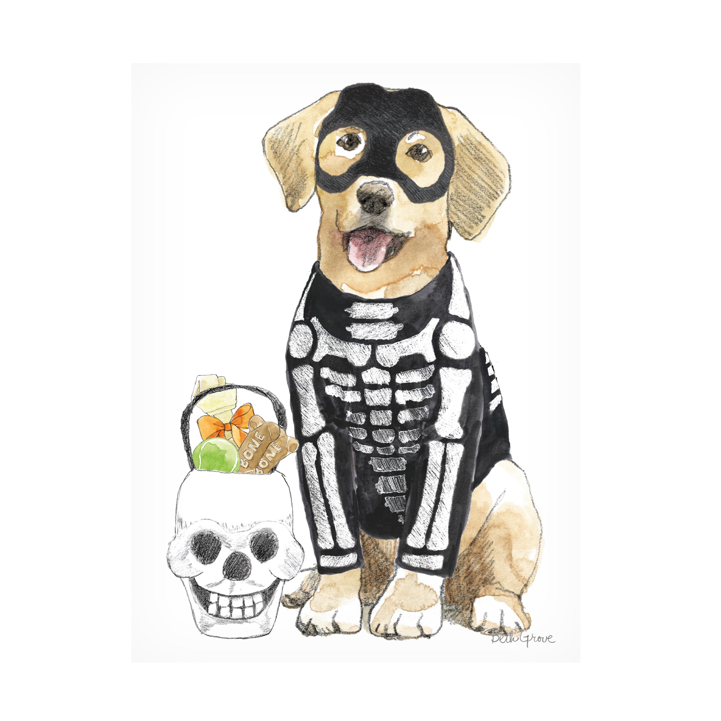 Trademark Fine Art 'Halloween Pets VII' Canvas Art by Beth Grove