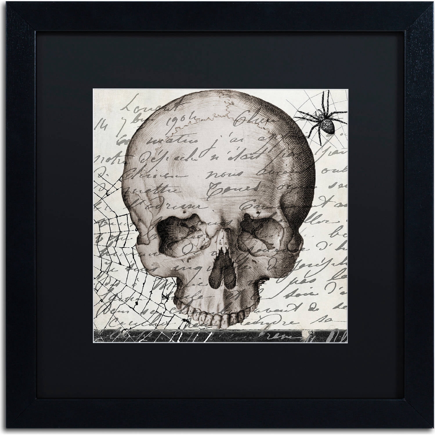 Trademark Fine Art "Halloween Skull" Canvas Art by Color Bakery, Black Matte, Black Frame
