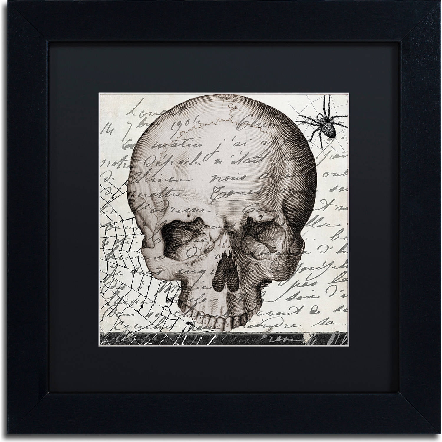 Trademark Fine Art "Halloween Skull" Canvas Art by Color Bakery, Black
