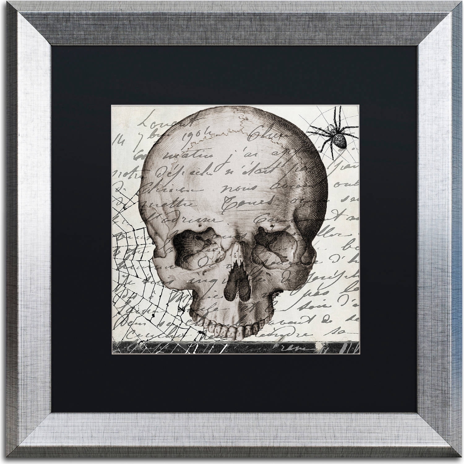 Trademark Fine Art "Halloween Skull" Canvas Art by Color Bakery, Black Matte, Silver Frame