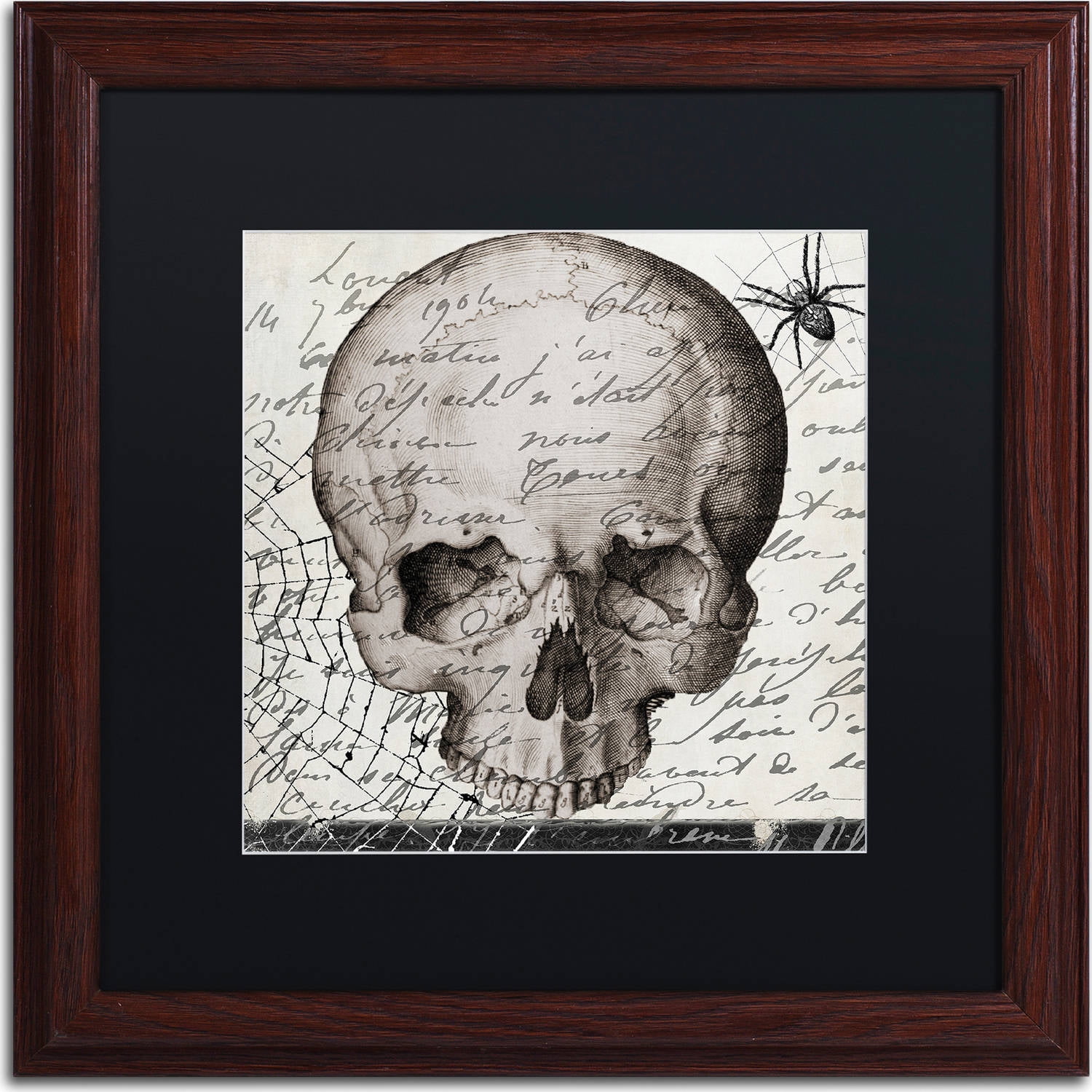 Trademark Fine Art "Halloween Skull" Canvas Art by Color Bakery, Black Matte, Wood Frame