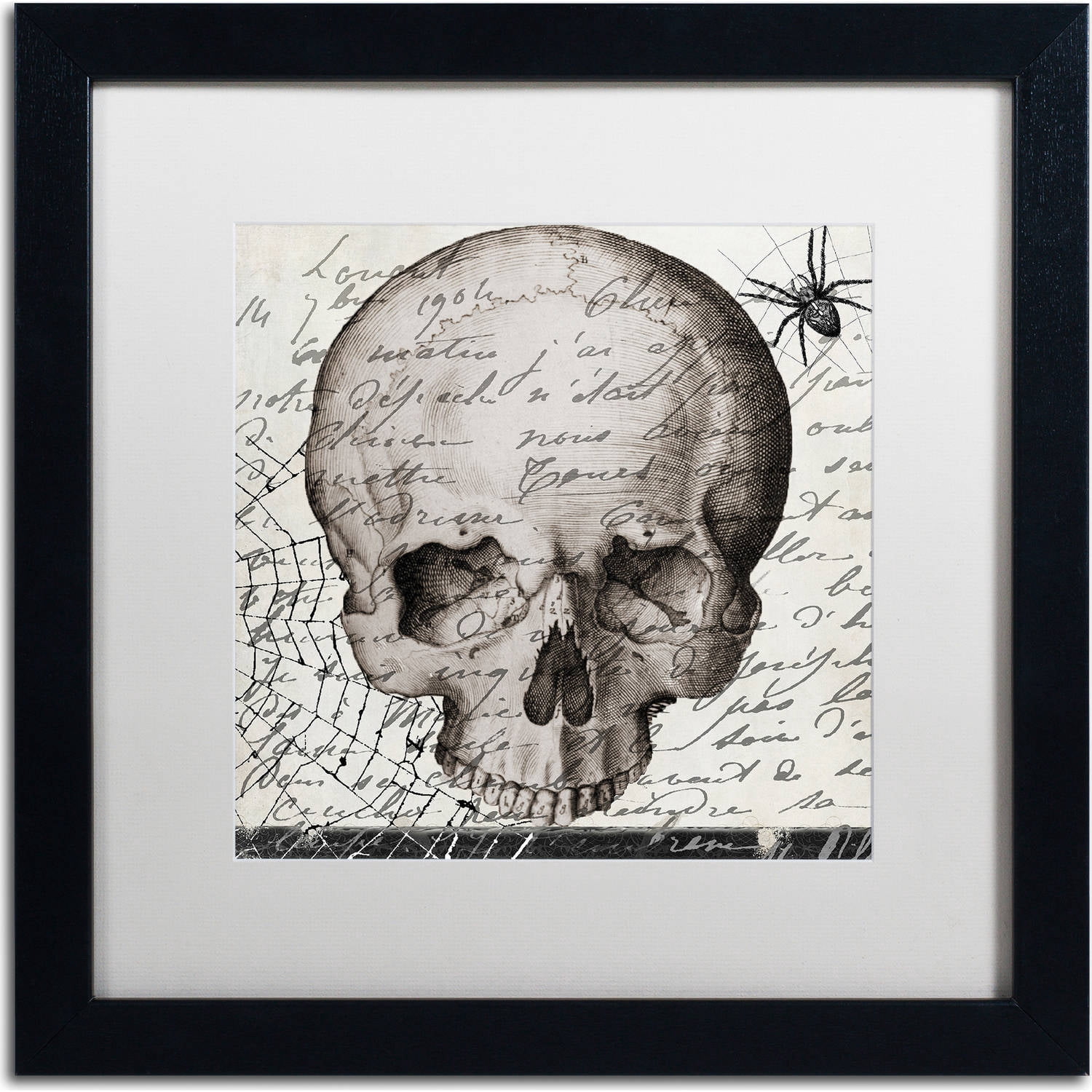 Trademark Fine Art "Halloween Skull" Canvas Art by Color Bakery, White Matte, Black Frame