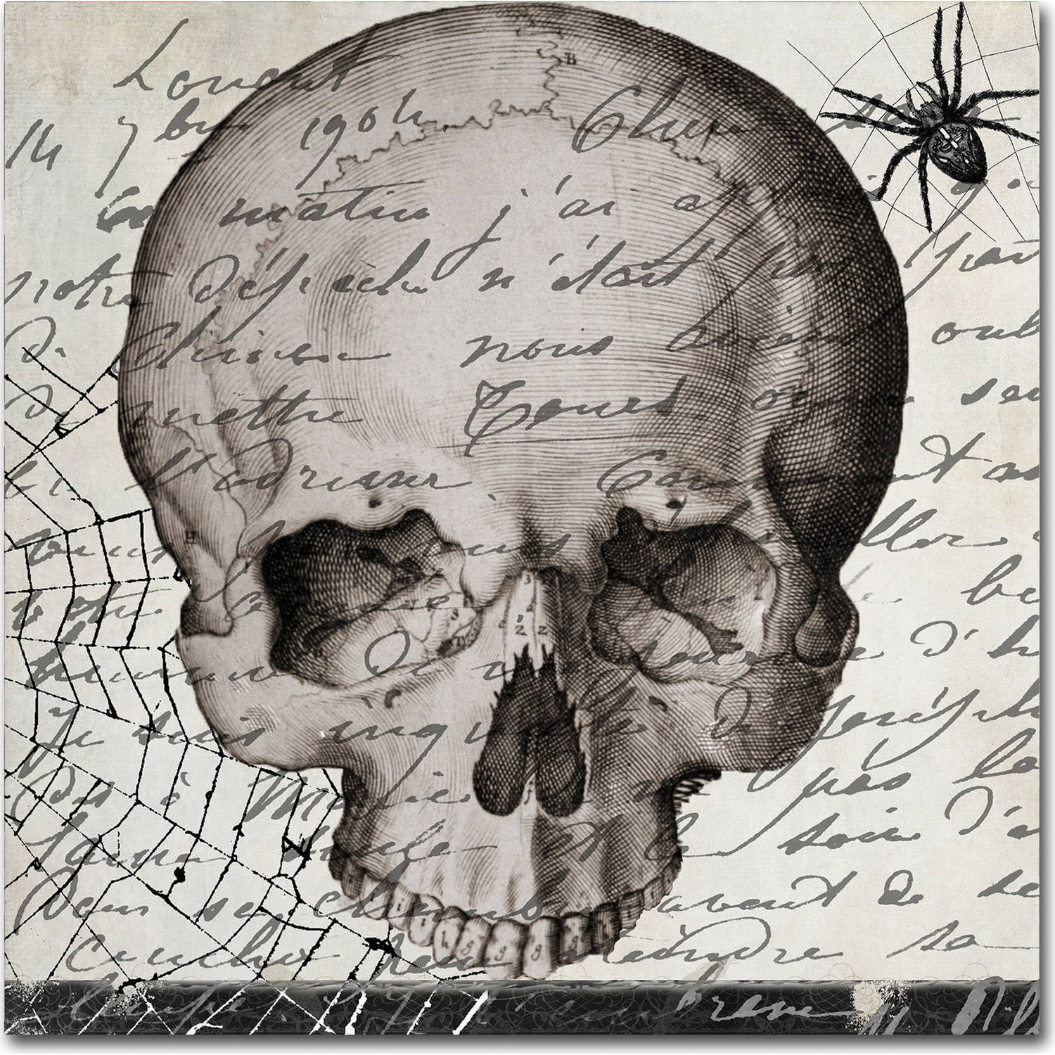 Trademark Fine Art "Halloween Skull" Canvas Art by Color Bakery