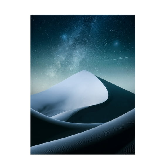 Trademark Fine Art Hamed Qane Zarrin Night Canvas Wall Art