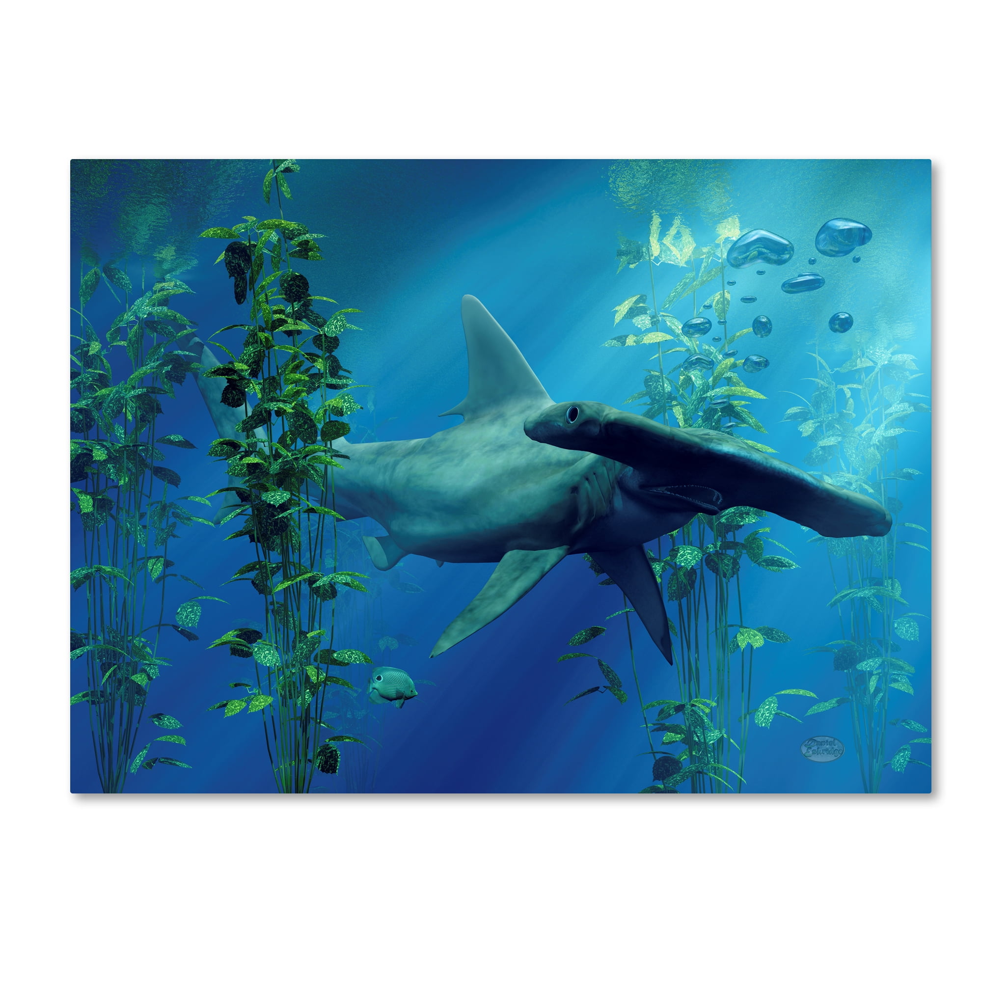 Hammerhead Shark Blue Ocean 24" x 32" Canvas Art