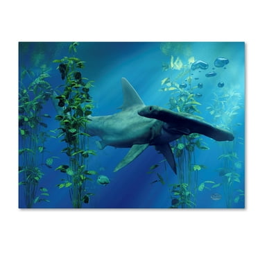 Trademark Fine Art 'Hammerhead' Canvas Art by Daniel Eskridge