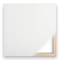thumbnail image 1 of Trademark Fine Art "Hampton Field Tree II" Canvas Art by Alan Blaustein, 1 of 3