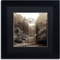 thumbnail image 1 of Trademark Fine Art "Hampton Gates III" Canvas Art by Alan Blaustein, Black Matte, Black Frame, 1 of 4