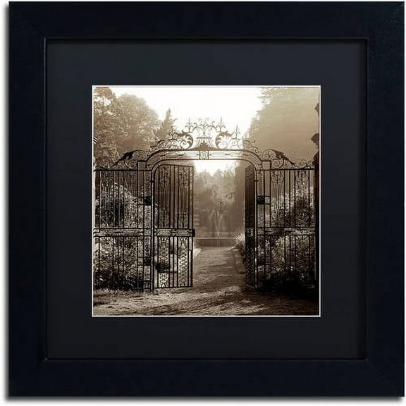 Trademark Fine Art "Hampton Gates III" Canvas Art by Alan Blaustein, Black Matte, Black Frame