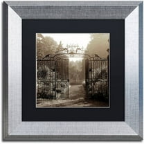 Trademark Fine Art "Hampton Gates III" Canvas Art by Alan Blaustein, Black Matte, Silver Frame