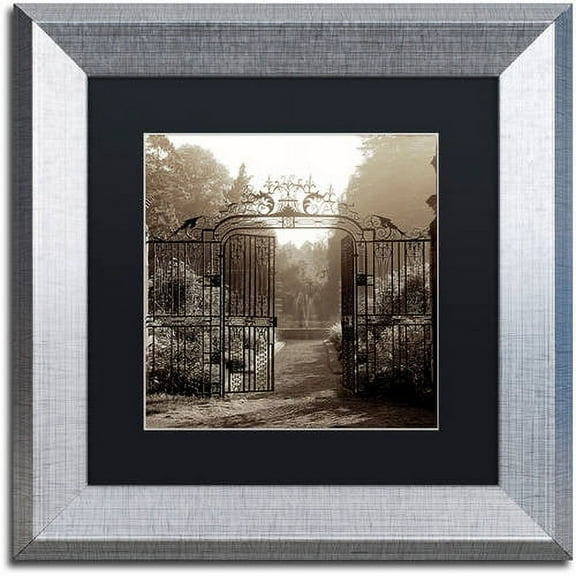 Trademark Fine Art "Hampton Gates III" Canvas Art by Alan Blaustein, Black Matte, Silver Frame