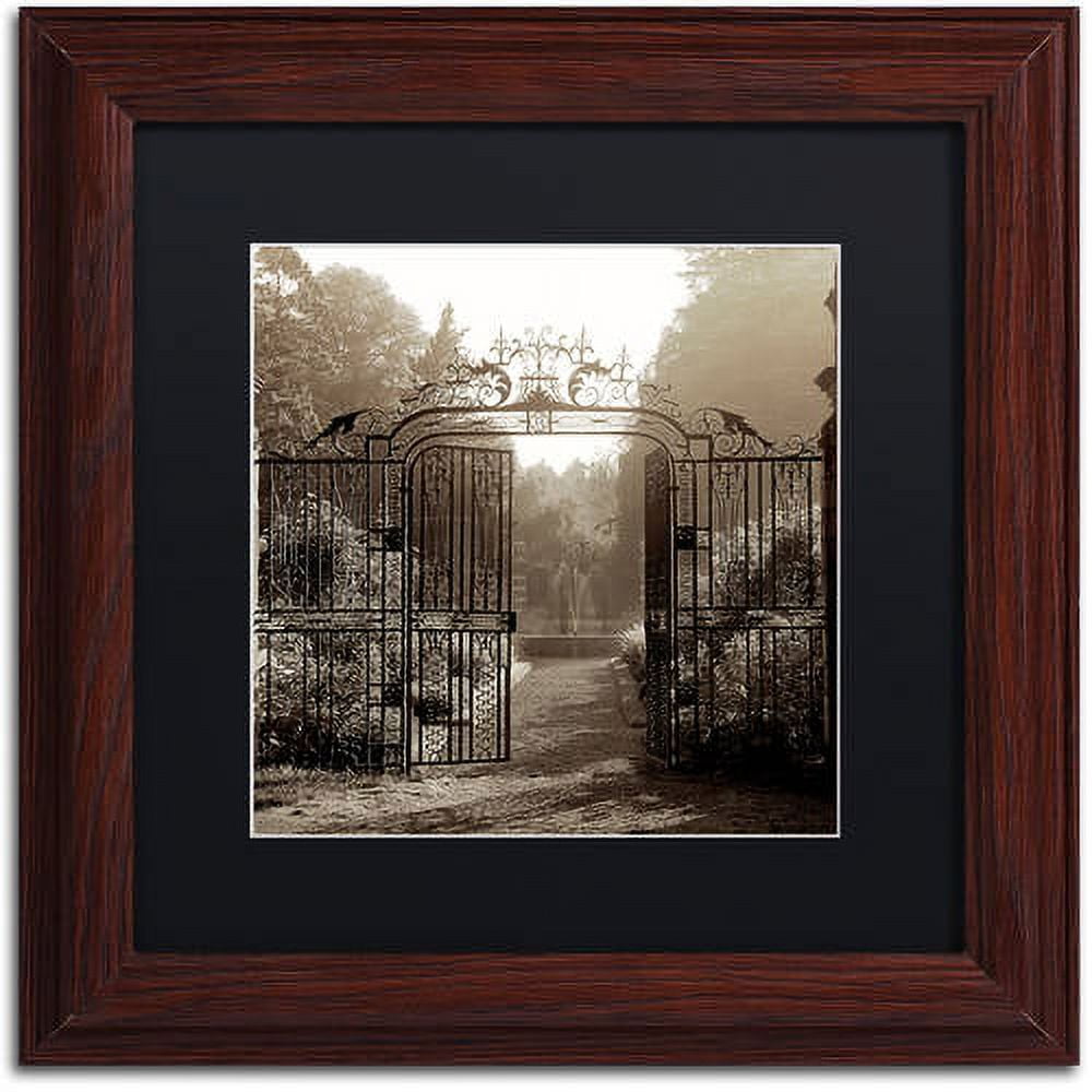 Trademark Fine Art "Hampton Gates III" Canvas Art by Alan Blaustein, Black Matte, Wood Frame