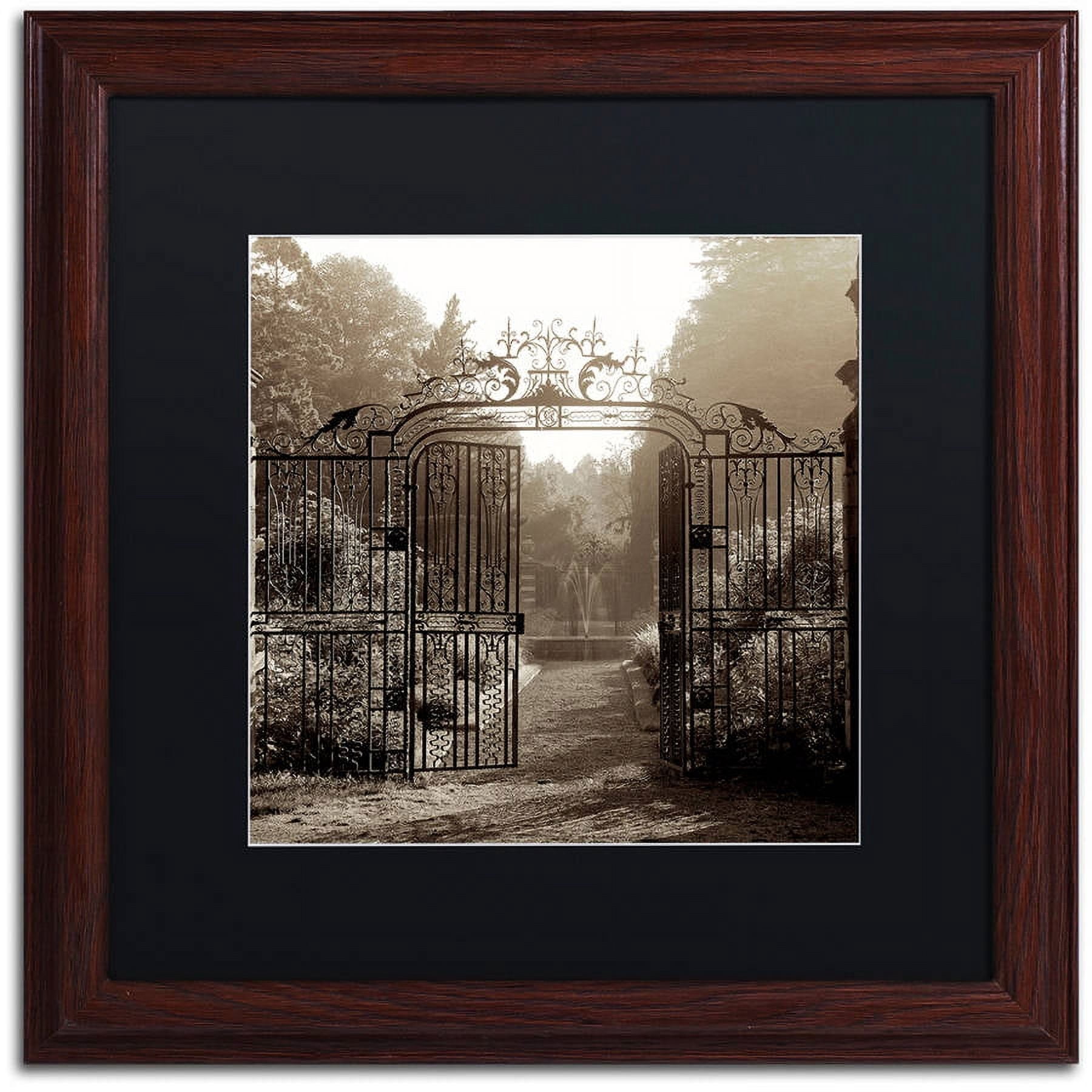 Trademark Fine Art "Hampton Gates III" Canvas Art by Alan Blaustein, Black Matte, Wood Frame