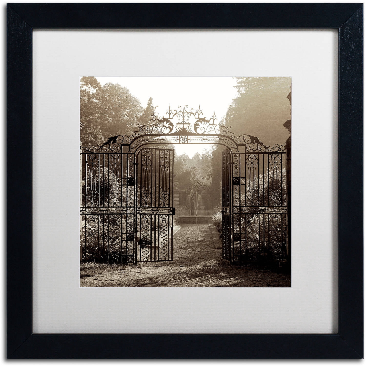 Trademark Fine Art "Hampton Gates III" Canvas Art by Alan Blaustein, White Matte, Black Frame