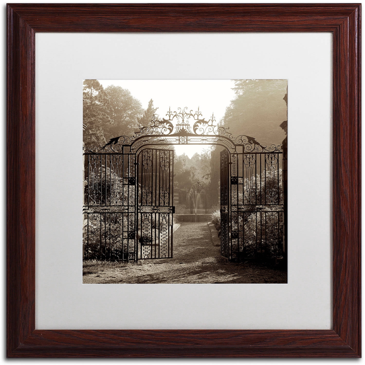 Trademark Fine Art "Hampton Gates III" Canvas Art by Alan Blaustein, White Matte, Wood Frame