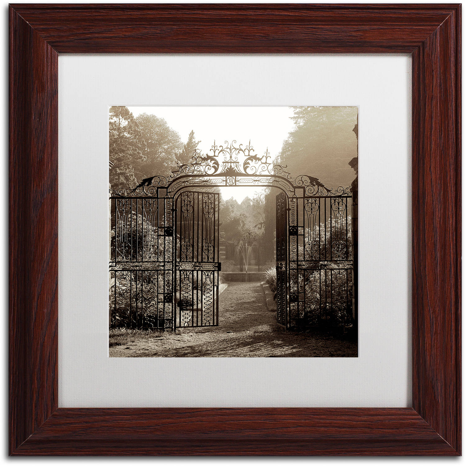 Trademark Fine Art "Hampton Gates III" Canvas Art by Alan Blaustein, White Matte, Wood Frame