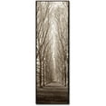 thumbnail image 1 of Trademark Fine Art Alan Blaustein Hampton Gates Promenade Canvas Wall Art - 8x24, 1 of 3