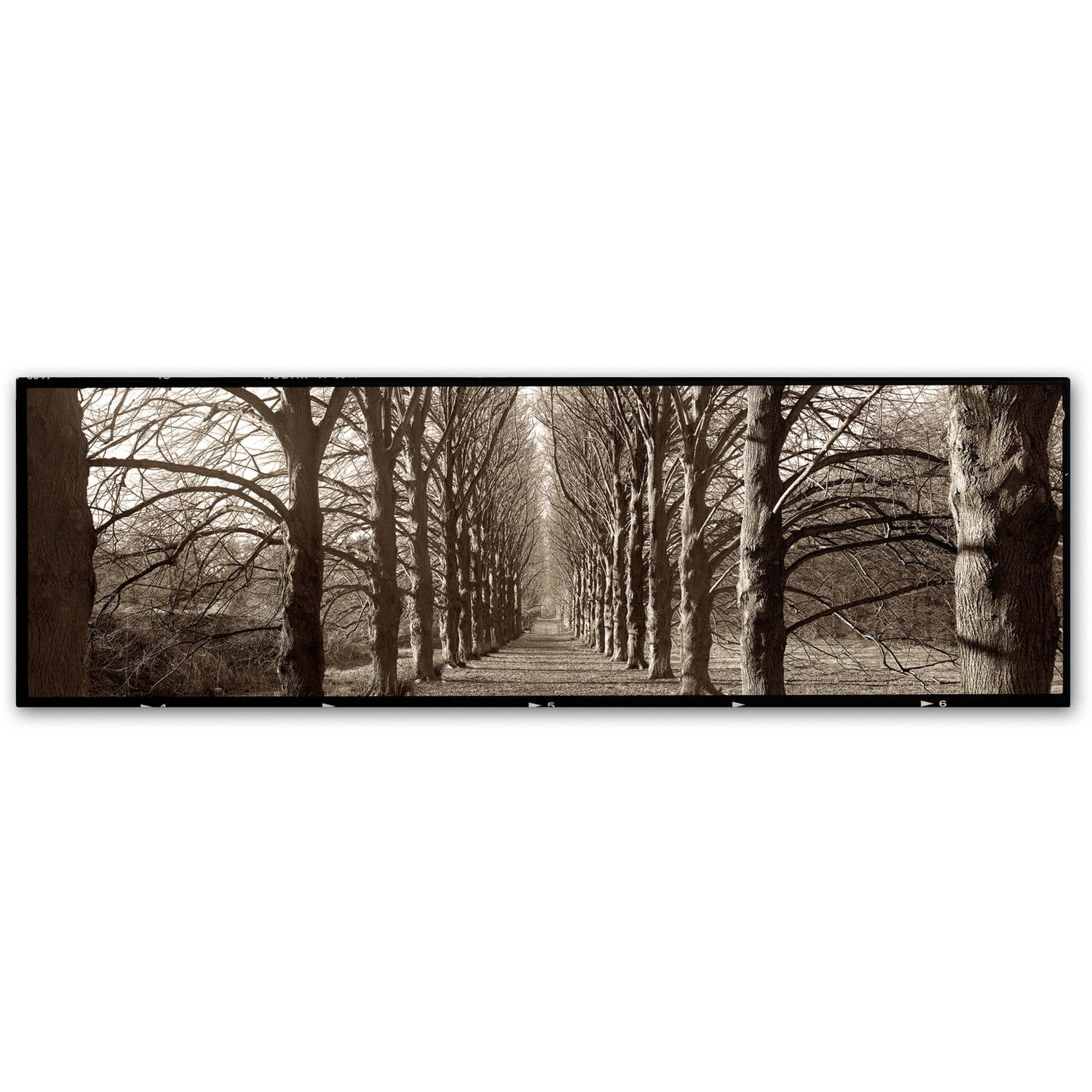 Trademark Fine Art Alan Blaustein Hampton Gates Promenade I Canvas Wall Art - 10x32