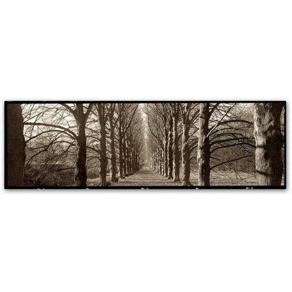 Trademark Fine Art "Hampton Gates Promenade I" Canvas Art by Alan Blaustein