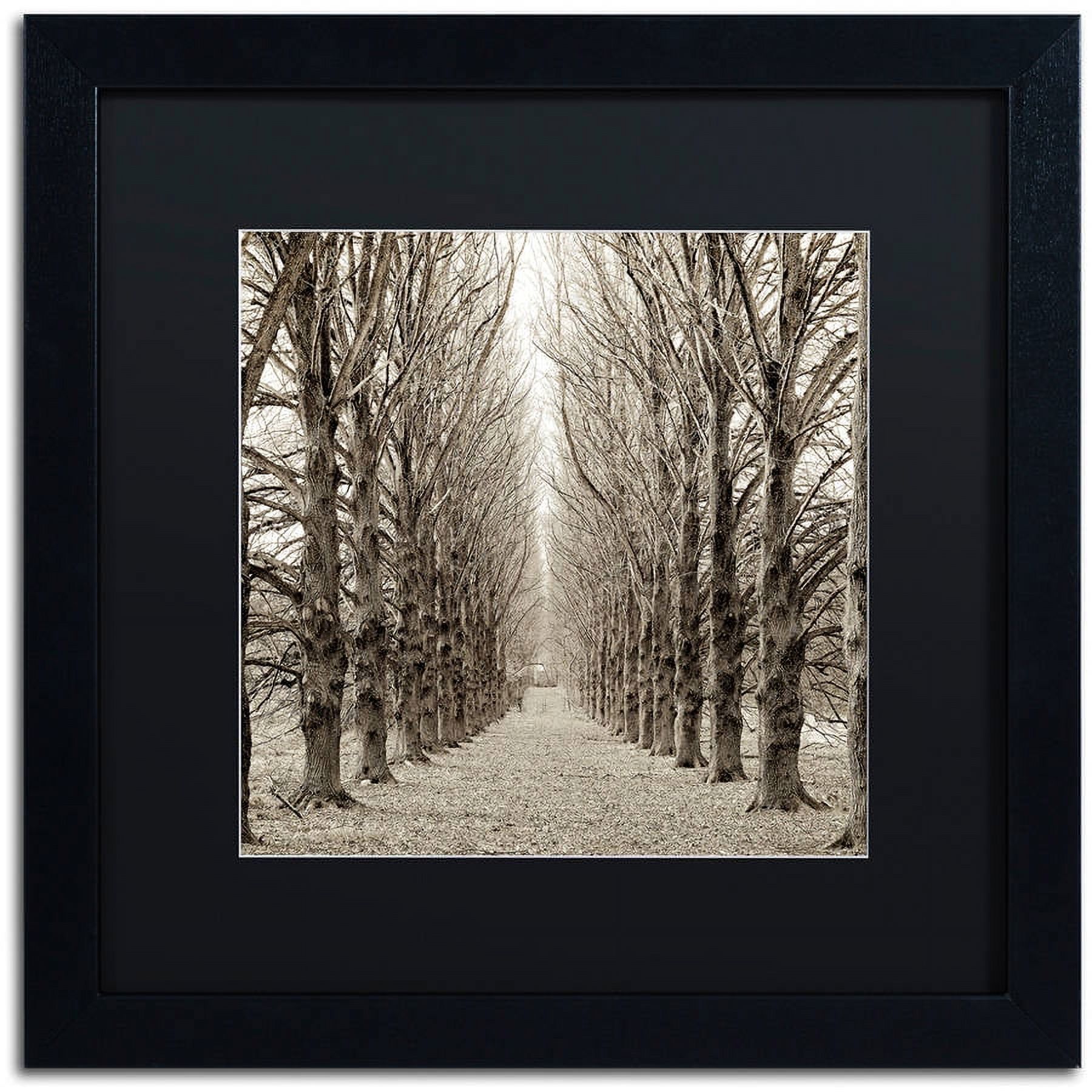 Trademark Fine Art "Hampton Gates Promenade III" Canvas Art by Alan Blaustein, Black Matte, Black Frame