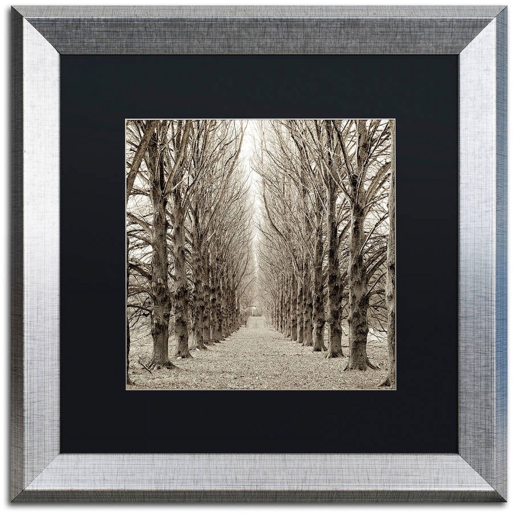 Trademark Fine Art "Hampton Gates Promenade III" Canvas Art by Alan Blaustein, Black Matte, Silver Frame