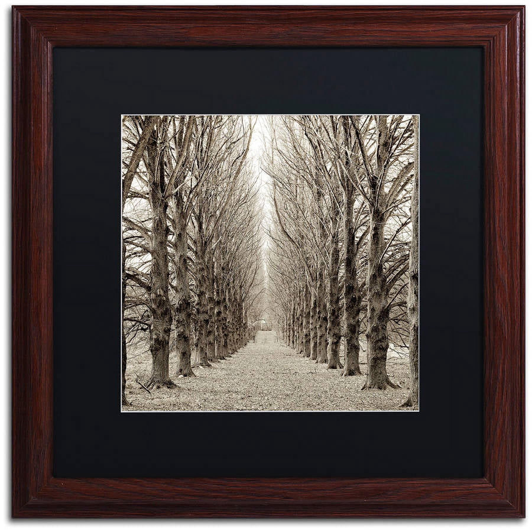 Trademark Fine Art "Hampton Gates Promenade III" Canvas Art by Alan Blaustein, Black Matte, Wood Frame