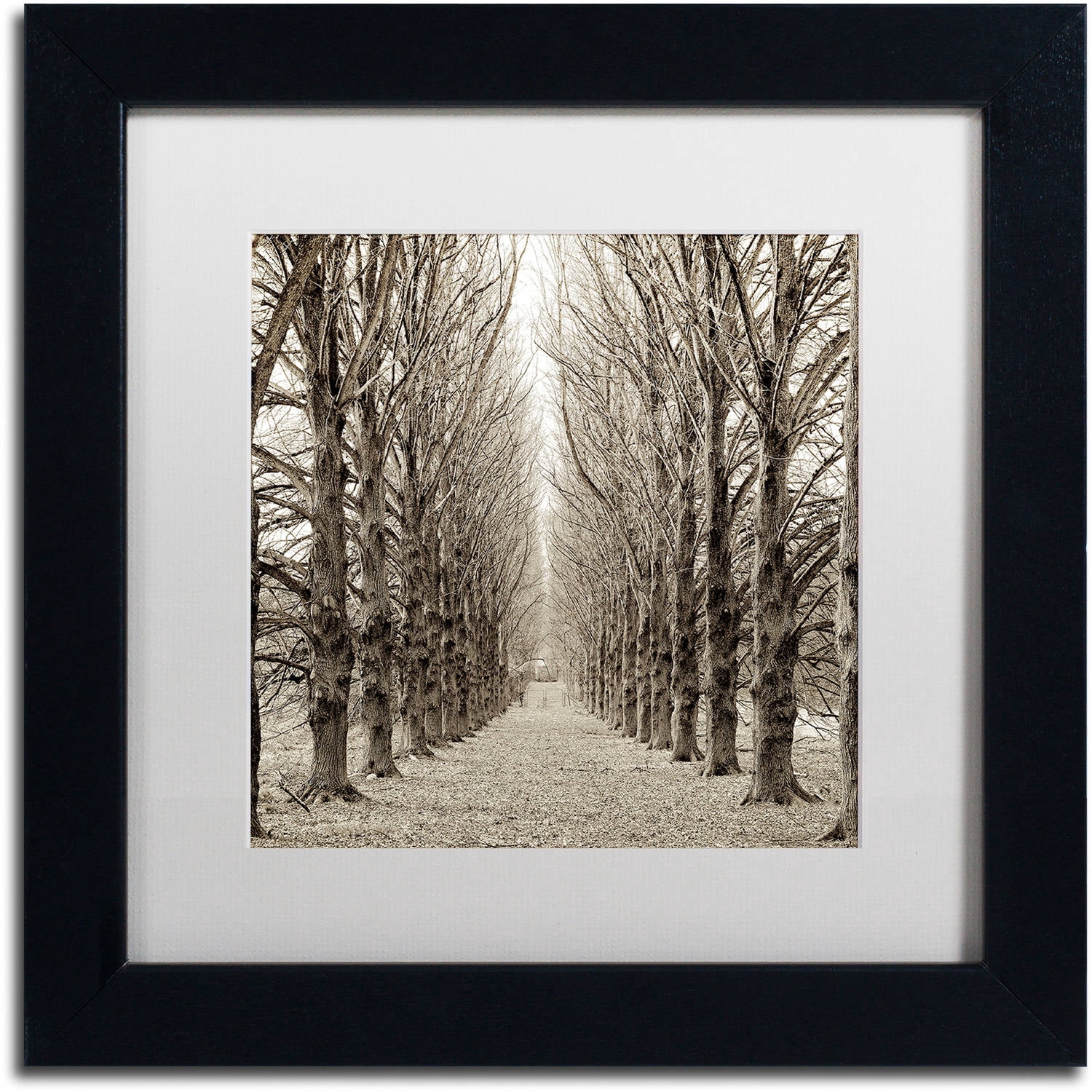 Trademark Fine Art "Hampton Gates Promenade III" Canvas Art by Alan Blaustein, White Matte, Black Frame